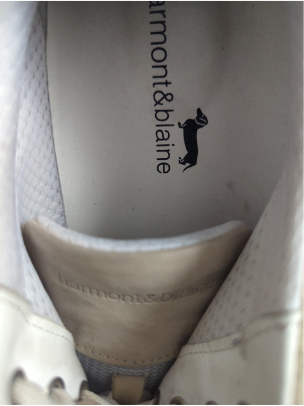Men's Harmont & Blaine Sneakers in Beige and Blue with Side Logo - Picture 12 of 14